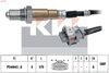 498 321-KW.JPG