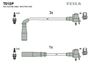 T618P.BMP
