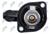 CTM-CT-016_4-WM.JPG
