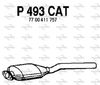 P493CAT.JPG