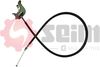 710006.JPG