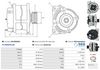 A01209(SEG)_256960.JPG