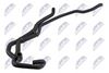 cpp-vw-067_1-wm.JPG