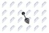 полуоска