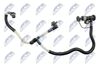 BPP-CH-005_3-WM.JPG