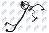 BPP-CT-013_2-WM.JPG