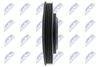 RKP-MS-024_3-WM.JPG