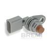 BREMI