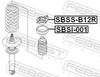 SBSI-001_1.JPG