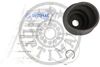 OPT_CVB-10479CR_WM_02.JPG