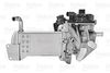 EGR_MODULE_700438_03.JPG