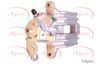 APEC Brake Caliper RCA246
