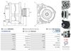 A0904(SEG)_256960.JPG