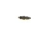 Bosch Nozzle and Holder Assembly 0432217248