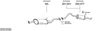 SYS13726.JPG