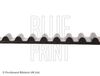 Blue Print Timing Belt ADN17519