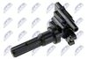 ECZ-MS-012_2-WM.JPG