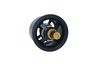 Termostat, chladivo 725029