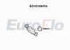 ecvo1055ta.JPG