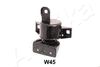 GOM-W45_1.JPG