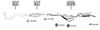 FI161300.BMP