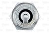 VALEO_SPARK_PLUG_246875_03.JPG