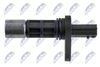 ECP-NS-021_3-WM.JPG