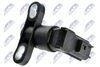 ECP-MZ-011_2-WM.JPG