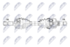 npw-pe-131_9-wm.PNG
