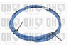 QH_BC2538.JPG
