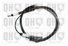 QH_BC4615.JPG