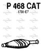 P468CAT.JPG