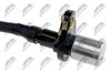 ECP-TY-000_2-WM.JPG