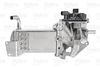 EGR_MODULE_700439_03.JPG