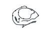 205_706003.ZIP