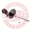 290001-PCS-MS.JPG