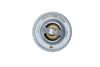 Termostat, chladivo 725214