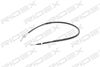 13628196_785.JPG