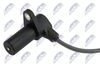 ECP-AU-043_2-WM.JPG