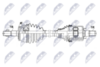 npw-mg-006_9-wm.PNG