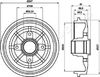 TA-0609_1.JPG