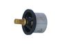 Termostat, chladivo 725029