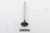 5DW005_1.JPG