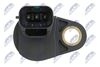 ECP-MS-000_4-WM.JPG