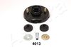 GOM-4013_1.JPG