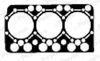 BT830_20686.JPG