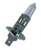 Osram Bulb, spotlight 64150SUP