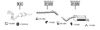 SK210440.BMP