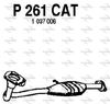 P261CAT.JPG