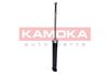 2000826_C.JPG